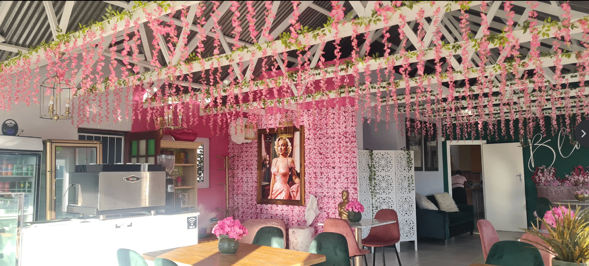 Wide panorama interior of The Bloom Café with pink wisteria ceiling and coffee bar